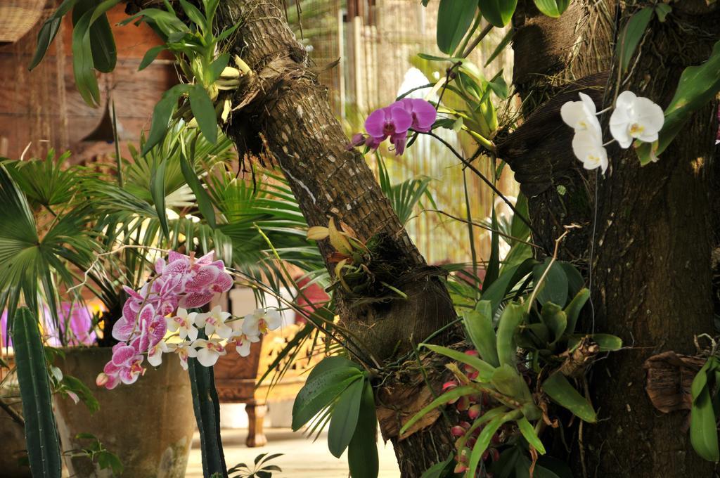 Aquabarra Boutique Hotel & Spa Búzios エクステリア 写真